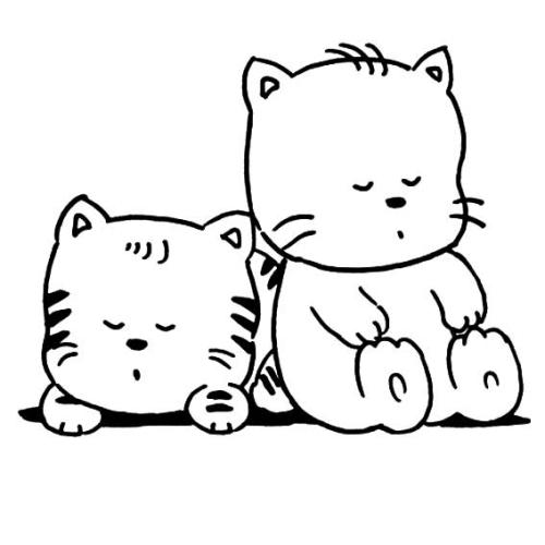 猫咪刚刚配上能洗澡吗?——揭开猫咪繁殖后的护理之谜